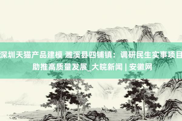 深圳天猫产品建模 濉溪县四铺镇：调研民生实事项目 助推高质量发展_大皖新闻 | 安徽网